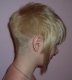 Blonde Haare